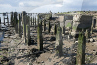The Way to the Sea: Forgotten Histories of the Thames Estuary. 