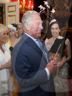 PEOPLE - Prinz Charles und Camilla hinter Masken am Elephant Family Animal Ball