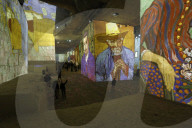 FEATURE - Projektionen von Kunstwerken Vincent van Goghs im Kulturzentrum eines ehemaligen Steinbruchs  in Les Bau-de-Provence