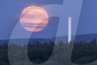 FEATURE - Erdbeermond über Dunbar in Schottland