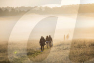 NEWS - Sommersonnenwende an der Kultstätte Stonehenge