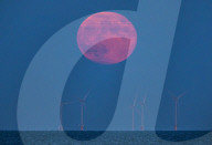 Strawberry full moon