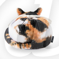 FEATURE - Zum Schnurren: Kitty Bags 