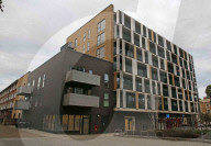 Toxic caterpillars invade east London apartment block