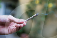 NEWS - Bundesrat will Ärzten das Verschreiben von Cannabis erlauben