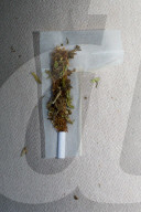 NEWS - Bundesrat will Ärzten das Verschreiben von Cannabis erlauben