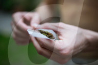 NEWS - Bundesrat will Ärzten das Verschreiben von Cannabis erlauben