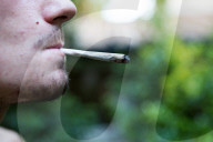 NEWS - Bundesrat will Ärzten das Verschreiben von Cannabis erlauben