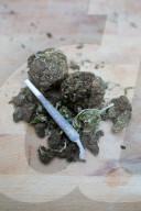 NEWS - Bundesrat will Ärzten das Verschreiben von Cannabis erlauben