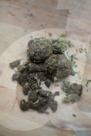 NEWS - Bundesrat will Ärzten das Verschreiben von Cannabis erlauben