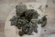 NEWS - Bundesrat will Ärzten das Verschreiben von Cannabis erlauben