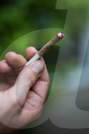 NEWS - Bundesrat will Ärzten das Verschreiben von Cannabis erlauben