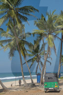 REPORTAGE - Sri Lanka