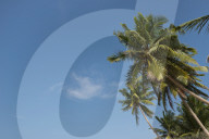 REPORTAGE - Sri Lanka