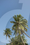 REPORTAGE - Sri Lanka
