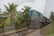 REPORTAGE - Sri Lanka