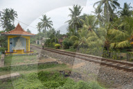 REPORTAGE - Sri Lanka