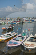 REPORTAGE - Sri Lanka