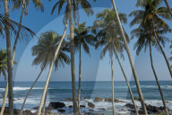 REPORTAGE - Sri Lanka