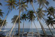 REPORTAGE - Sri Lanka