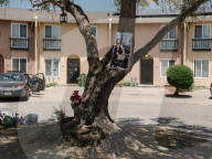 'If I can hear you, I can find you': the woman teaching kids to dodge bullets in their neighborhood. Elana Bolds has held ‘active shooter’ drills for decades in her northern California community, where exposure to gun violence is almost inevitable.