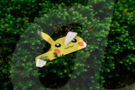 Pokemon Go Fest Chicago