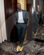 Aldis Hodge