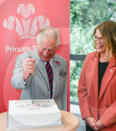 Prince Charles, Prince of Wales, President, The Prince s Trust, visits their call centre at Nantgarw, near Cardiff, to meet those who help over 72, 000 young people, who get in touch with the charity over the phone, often for the first time. Connect Assis