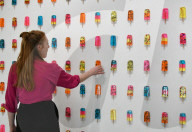 Miss Bugs Do No Harm exhibition