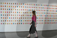 Miss Bugs Do No Harm exhibition