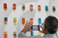 Miss Bugs Do No Harm exhibition