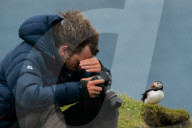 FEATURE - Papageientaucher im Hermaness National Nature Reserve auf der Shetland-Insel Unst