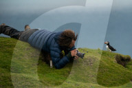 FEATURE - Papageientaucher im Hermaness National Nature Reserve auf der Shetland-Insel Unst