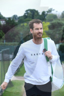 Andy Murray