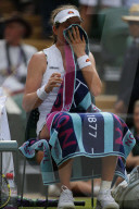 Wimbledon Tennis Championships 2019