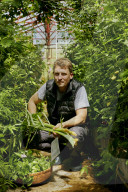 The Producers - growers of fine vegetables and herbs