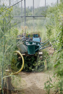 The Producers - growers of fine vegetables and herbs