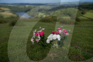 The Green Funeral Company, sustainable burials