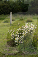 The Green Funeral Company, sustainable burials