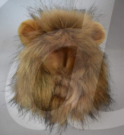 FEATURE - Katze 'verkleidet' sich als Lion King