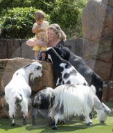 ZSL Animal Adventure to reopen