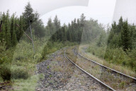 NEWS - Mordverdacht: Kanada sucht Kam McLeod und Bryer Schmegelsky