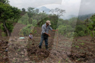 Climate Migrants in Chiquimula