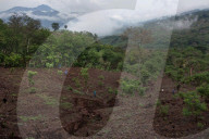 Climate Migrants in Chiquimula