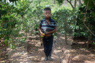 Climate Migrants in Chiquimula