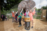 FEATURE - Recycling Skulptur: Batteriehersteller Duracell verwertet so viele Batterien wie 68 Elefanten wiegen
