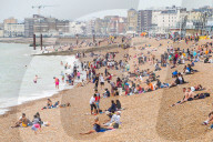 NEWS - Strandreinigung in Brighton