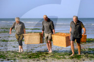 FEATURE - Vier kleine Seehunde werden an einem Strand der Nordseeinsel Juist ausgewildert