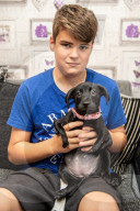 FEATURE - Roo der Labrador-Welpe wurde mit sechs Beinen geboren