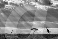 FEATURE - Gewinner des Glanzlichter Fotowettbewerbs
